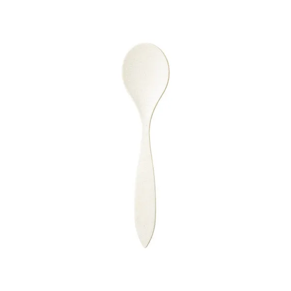 12" Large Serving Spoon (case)