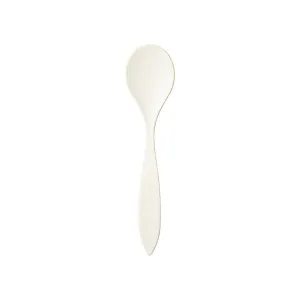 12" Large Serving Spoon (case)