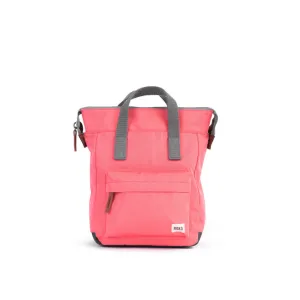 Bantry B Sustainable Coral Canvas