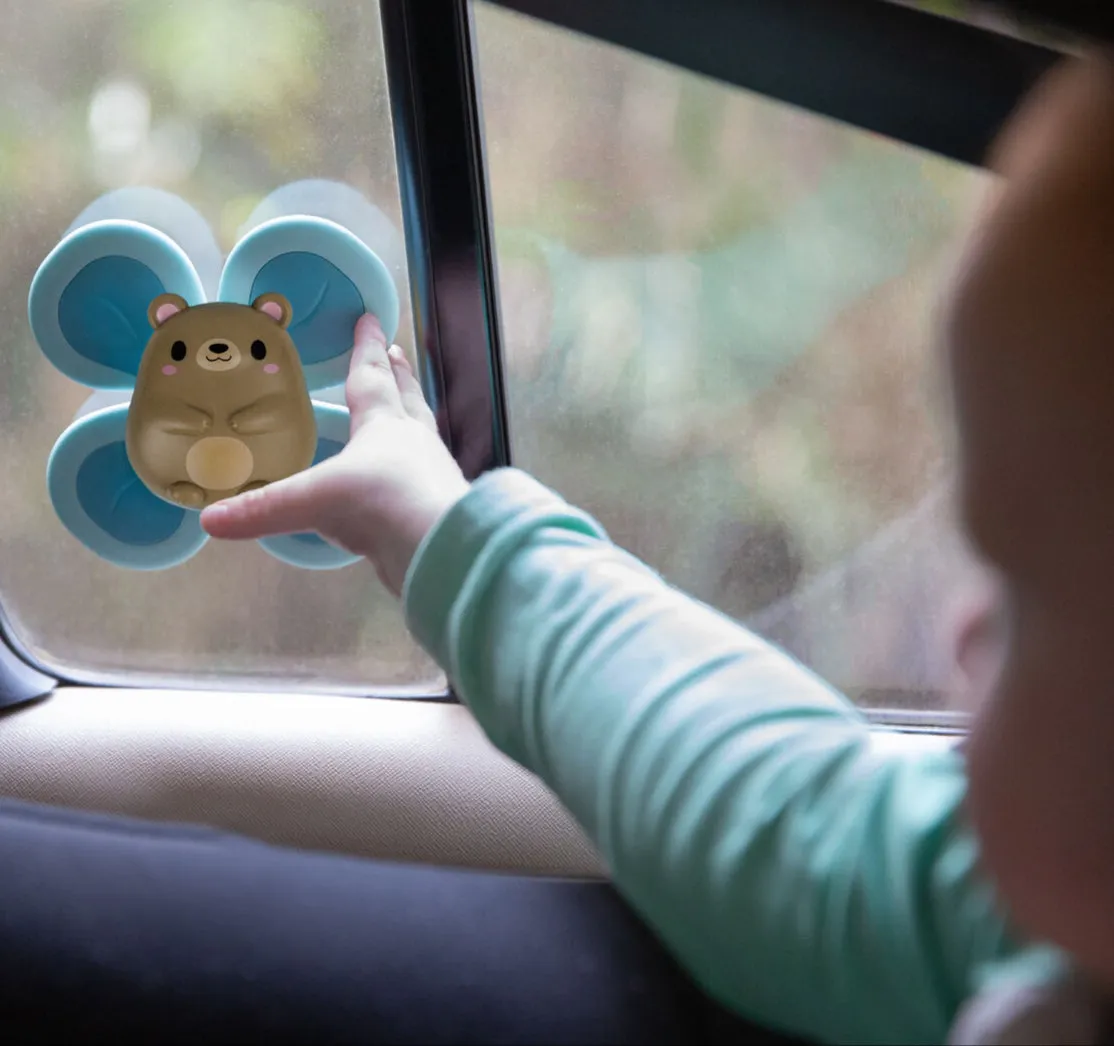 Bear Sensory Spinner - 6M 
