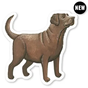Cactus Club Chocolate Lab Sticker