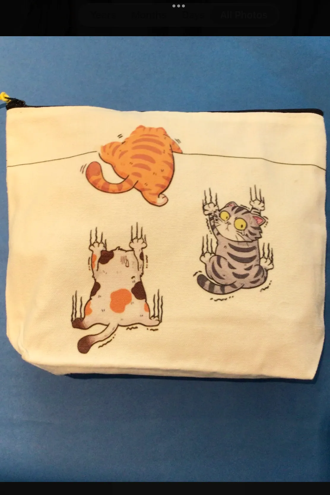 Chaos Coordinator Bag