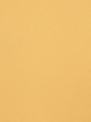 Connect - Pineapple