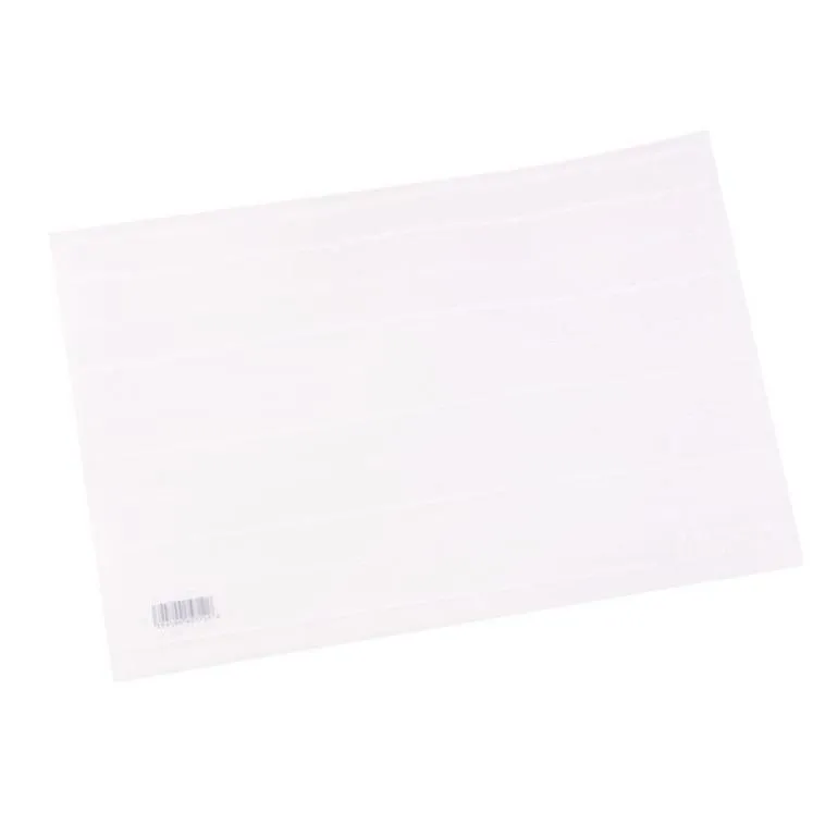Deli PP Smoky Clear Zip Bags A4 Pack of 10 E5523