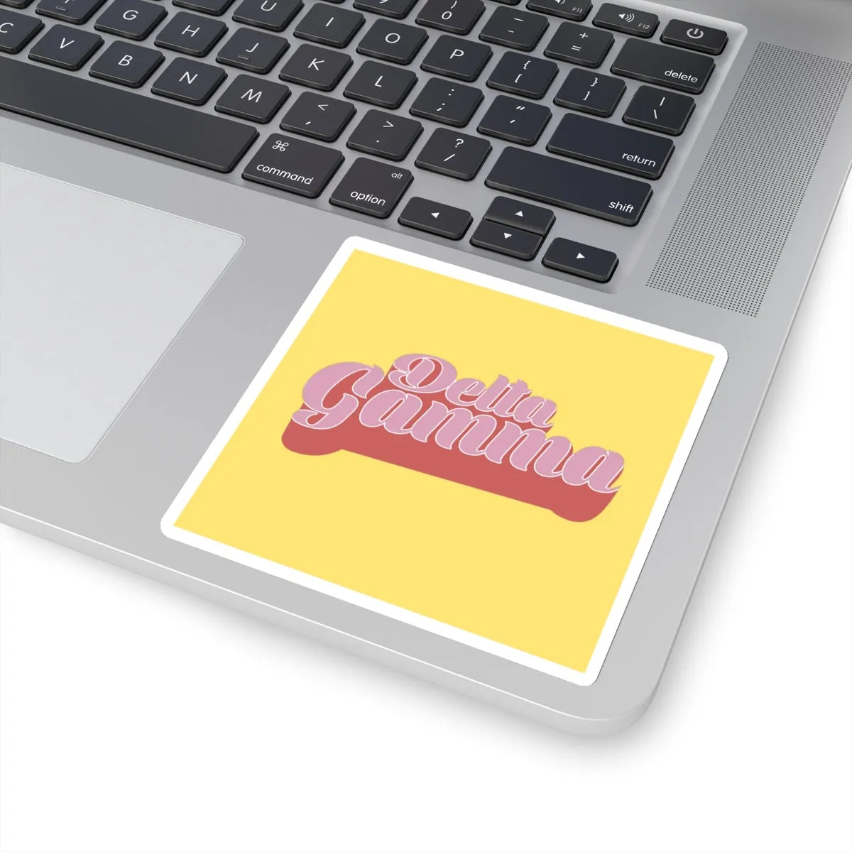 Delta Gamma Sticker