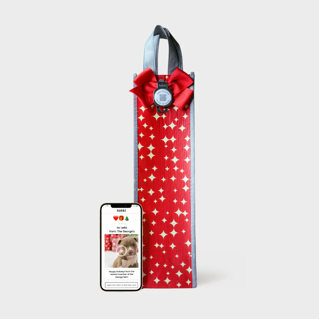 Everything Under the Tree - Festive Collection | Reusable Gift Bag   QR Greeting Card Bundle | 15 Pieces