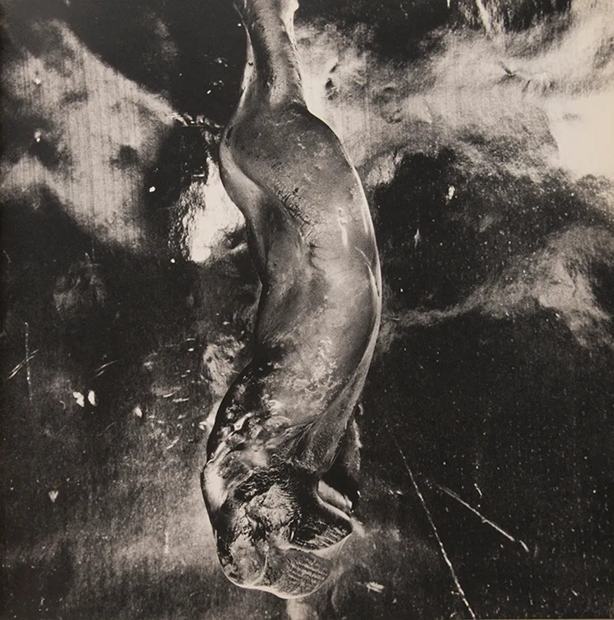 Hiroshima – Nagasaki Document 1961.