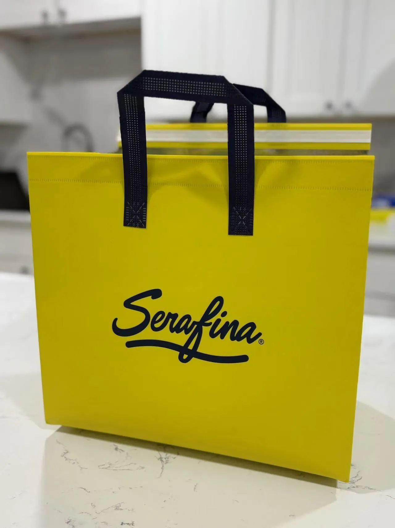 Insulated Thermal To Go Bag ｜ Non-Woven | Reusable & Disposable |  Fully Customizable