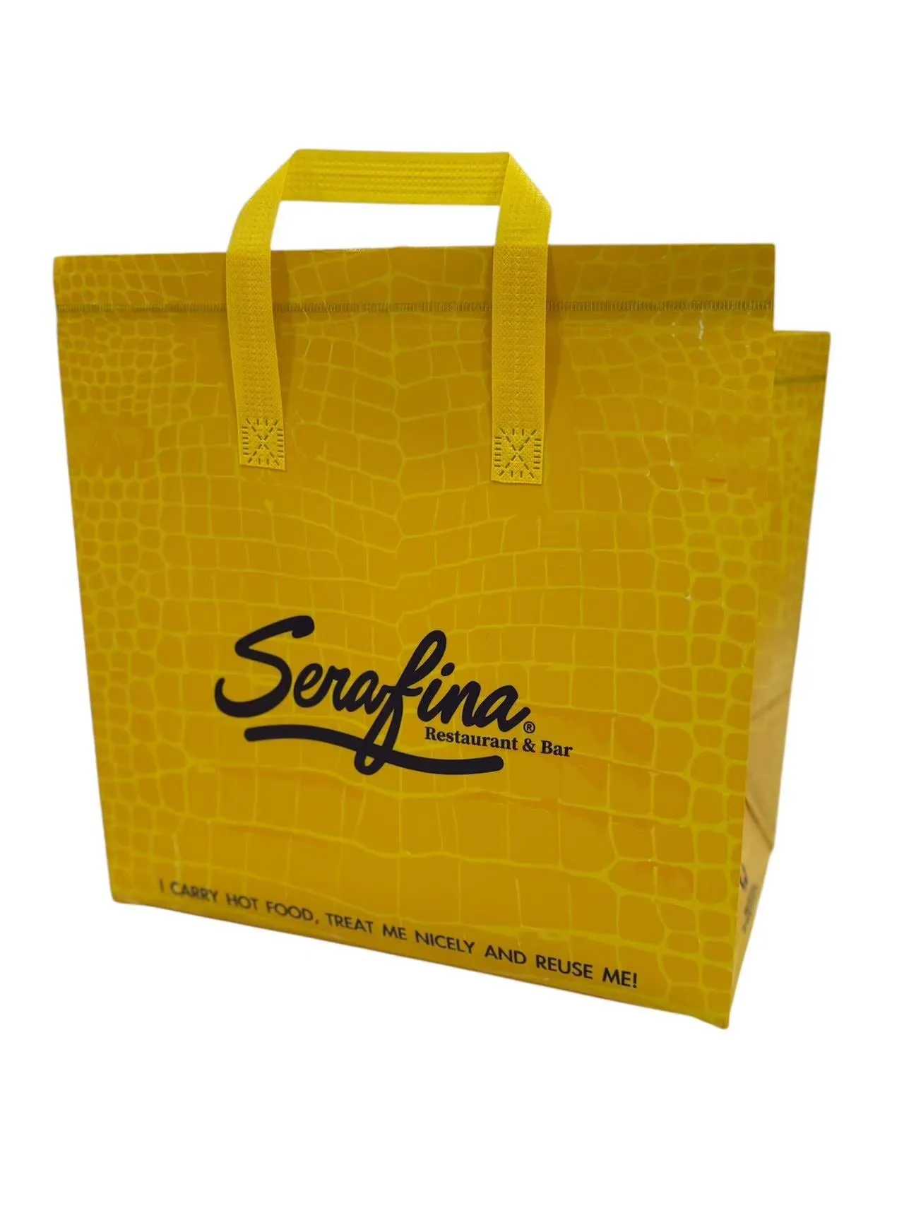 Insulated Thermal To Go Bag ｜ Non-Woven | Reusable & Disposable |  Fully Customizable