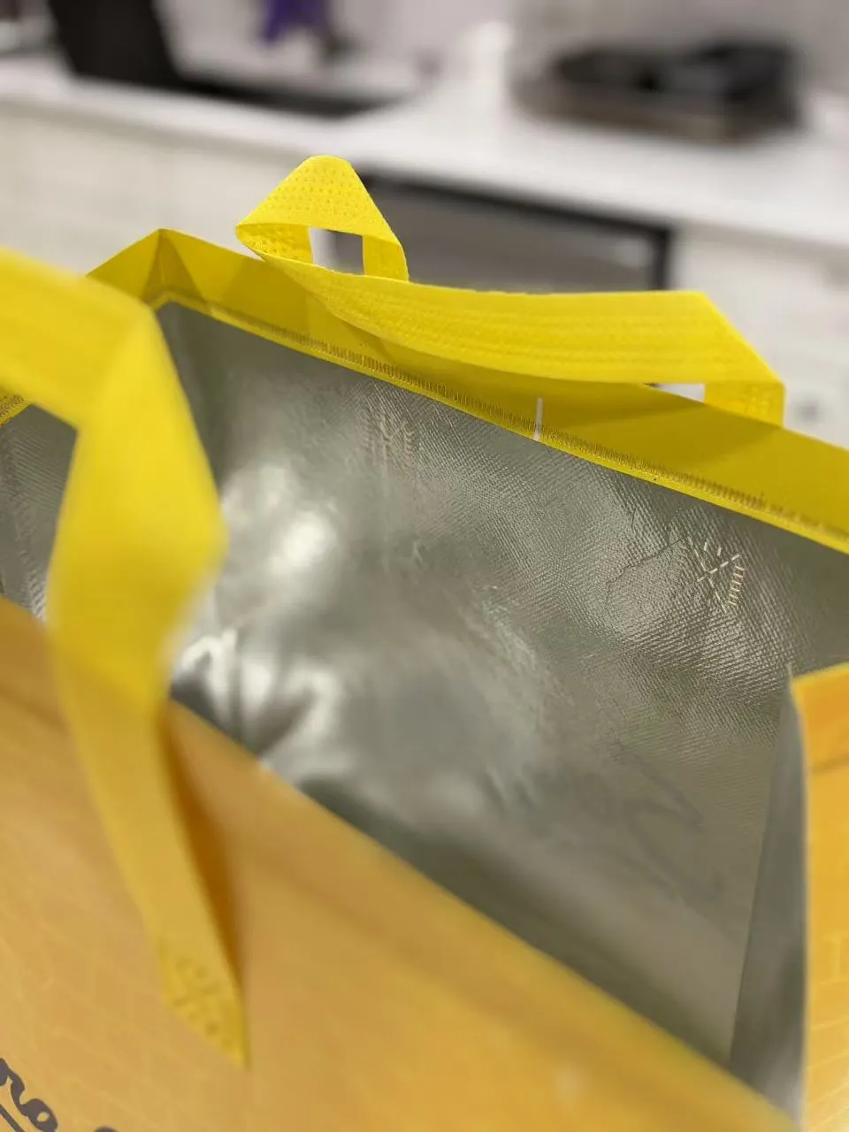 Insulated Thermal To Go Bag ｜ Non-Woven | Reusable & Disposable |  Fully Customizable