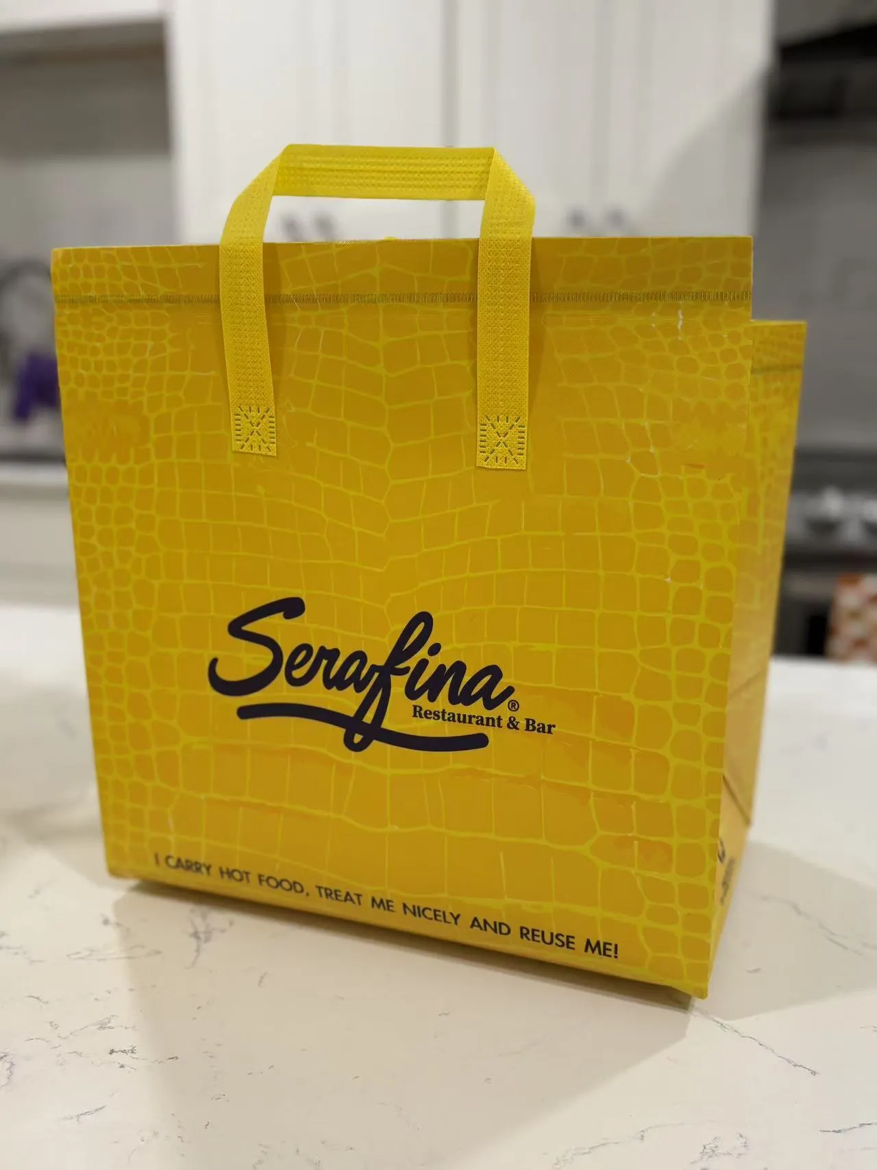 Insulated Thermal To Go Bag ｜ Non-Woven | Reusable & Disposable |  Fully Customizable