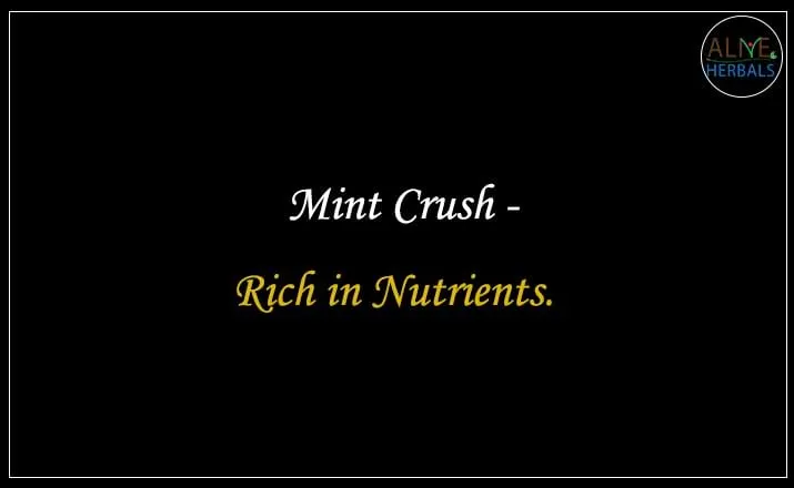 Mint Crush