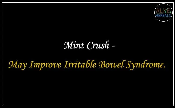 Mint Crush