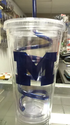 NCAA Michigan Wolverines 18oz Tumbler with Swirl Straw