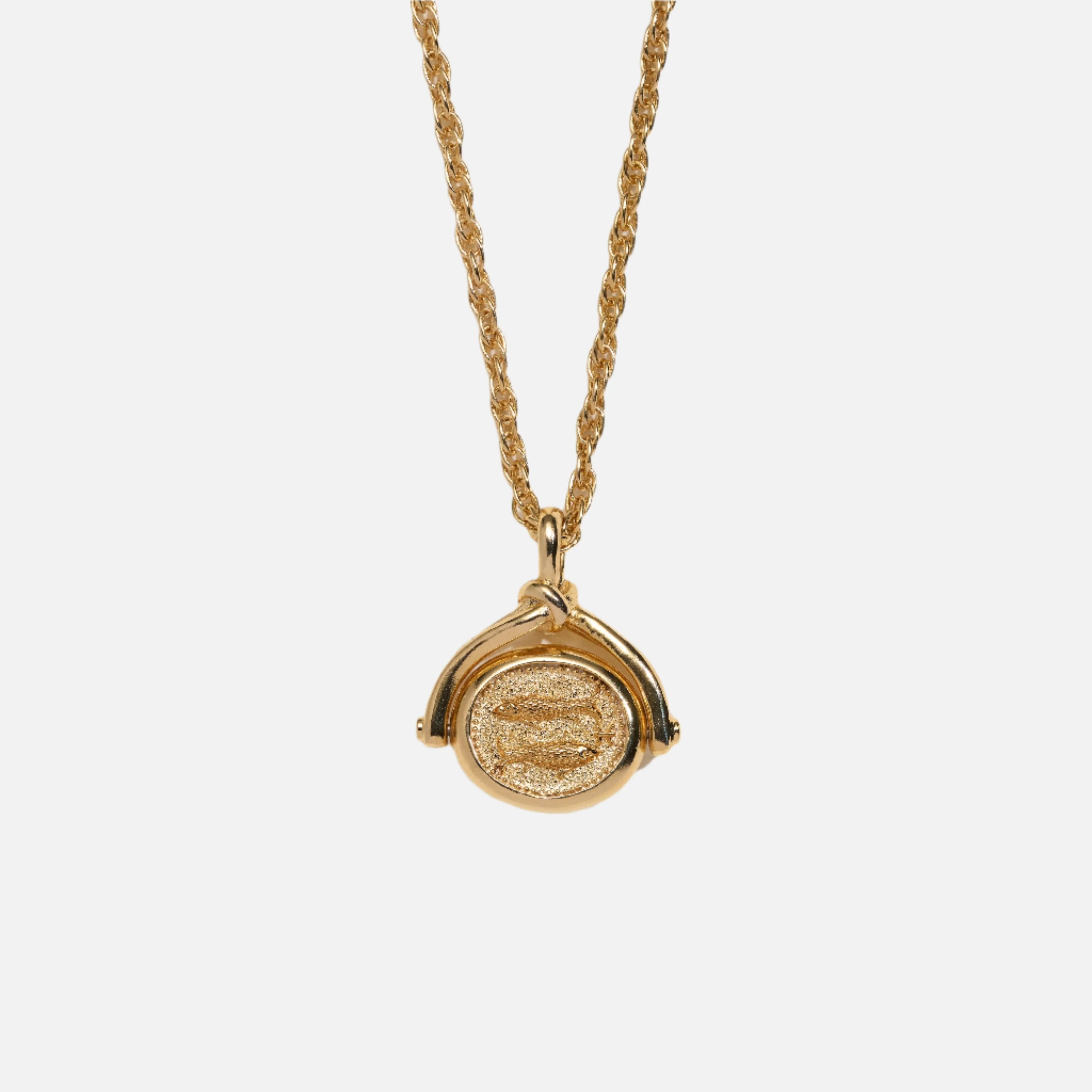Pisces Spinner Pendant