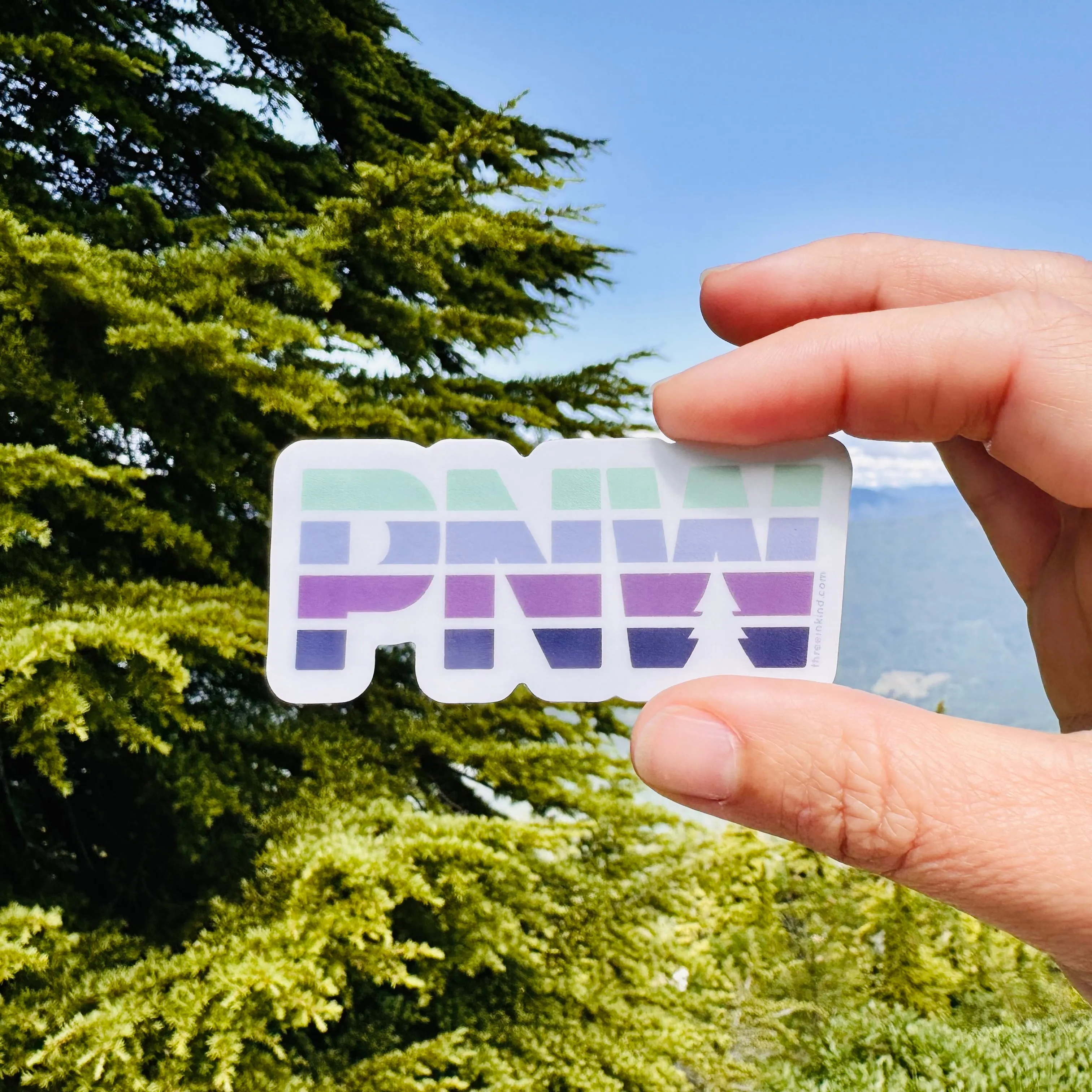 PNW Color Block Cutout 3” Sticker / Decal