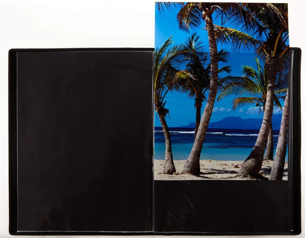 ProFolio by Itoya, Art ProFolio Evolution Presentation Display Book - Portrait, 11 x 17 Inches