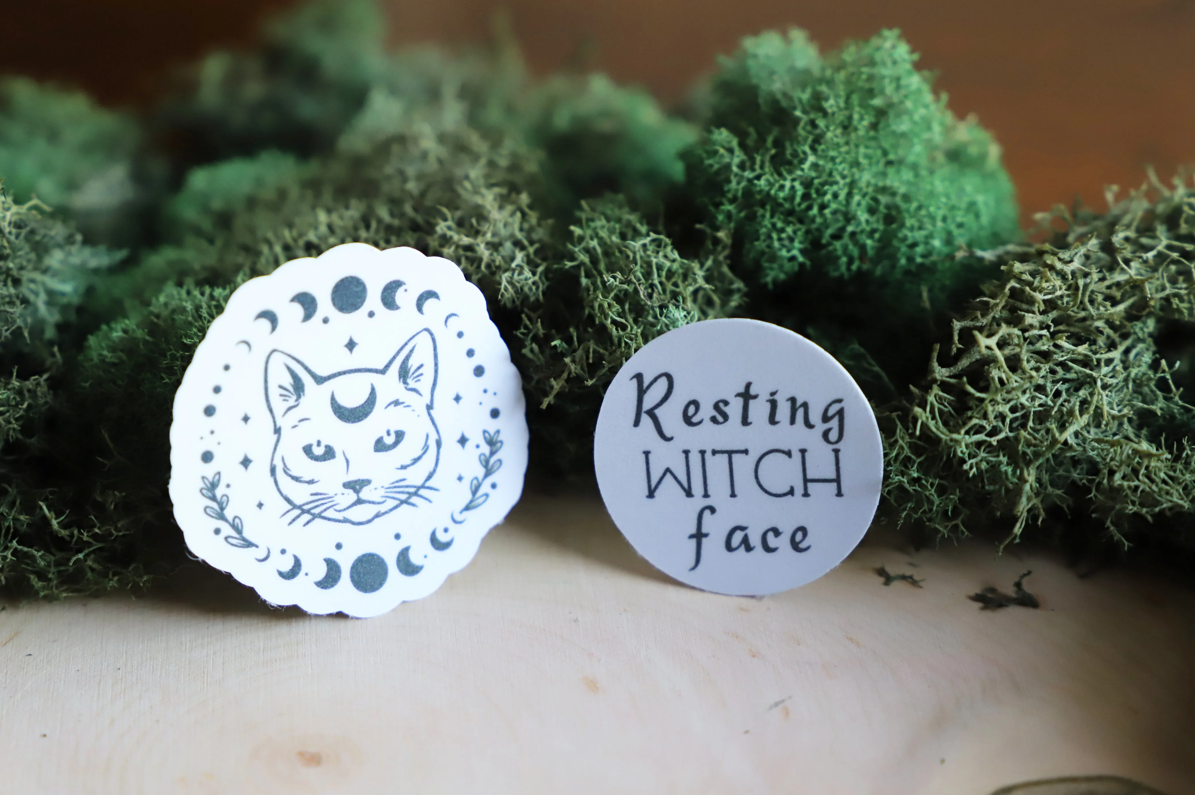 Resting Witch Face sticker pack | 9pk