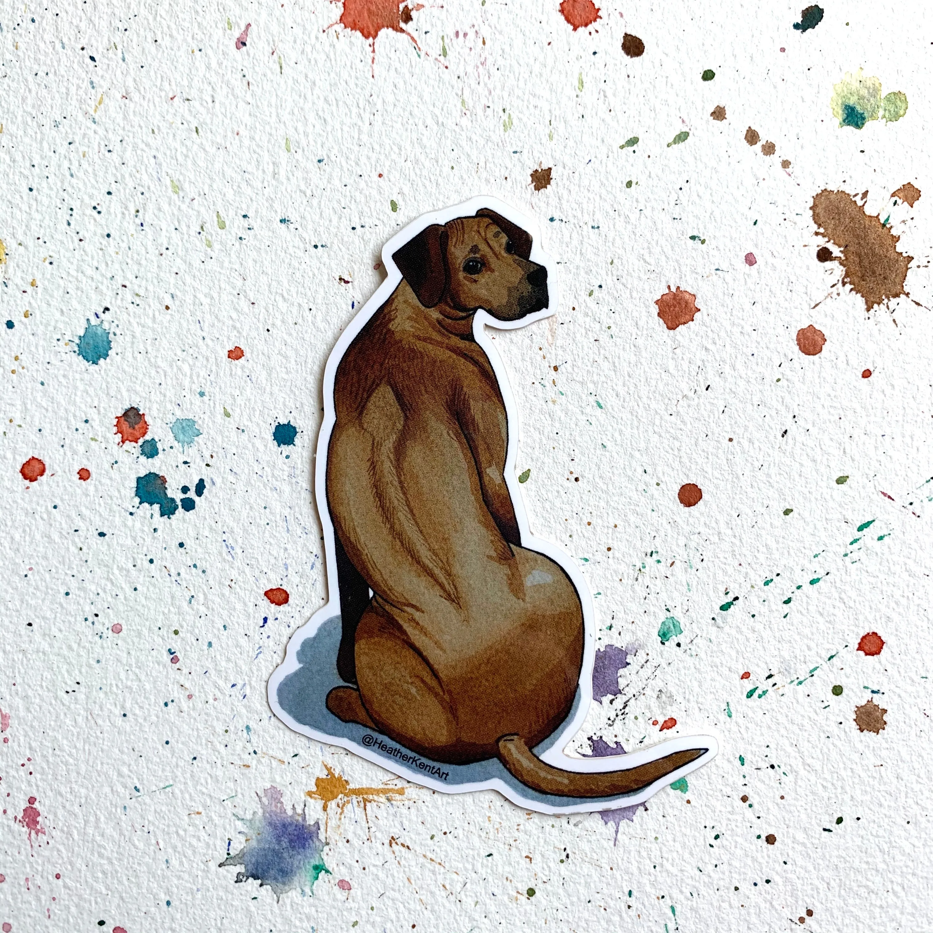 Rhodesian Ridgeback Dog Vinyl Sticker, 3 inch, Doggos Sticker, FREE SHIPPING