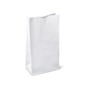RiteEarth - 5 Lbs Plain White Paper Bag, Pack of 500, 2Bn/Case (1000/Case) - PB050W