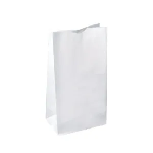 RiteEarth - 8 Lbs Plain White Paper Bag, Pack of 500, 2Bn/Case (1000/Case) - PB080W