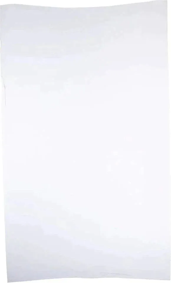 RiteSource - 7 lb, 6 x 3 x 15" White Poly Bags, 500/bx - 0306509
