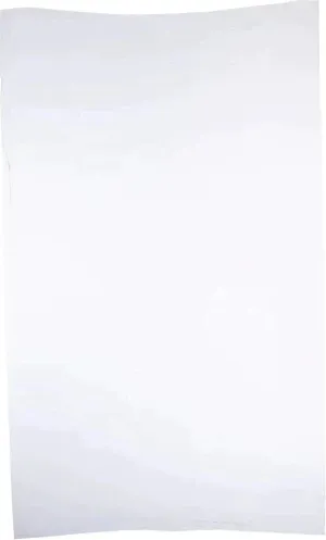 RiteSource - 7 lb, 6 x 3 x 15" White Poly Bags, 500/bx - 0306509