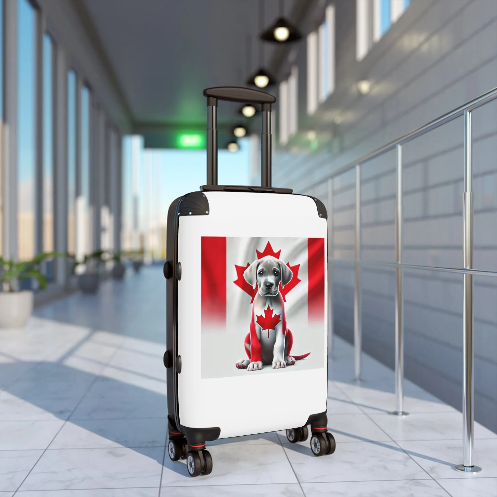 Suitcase