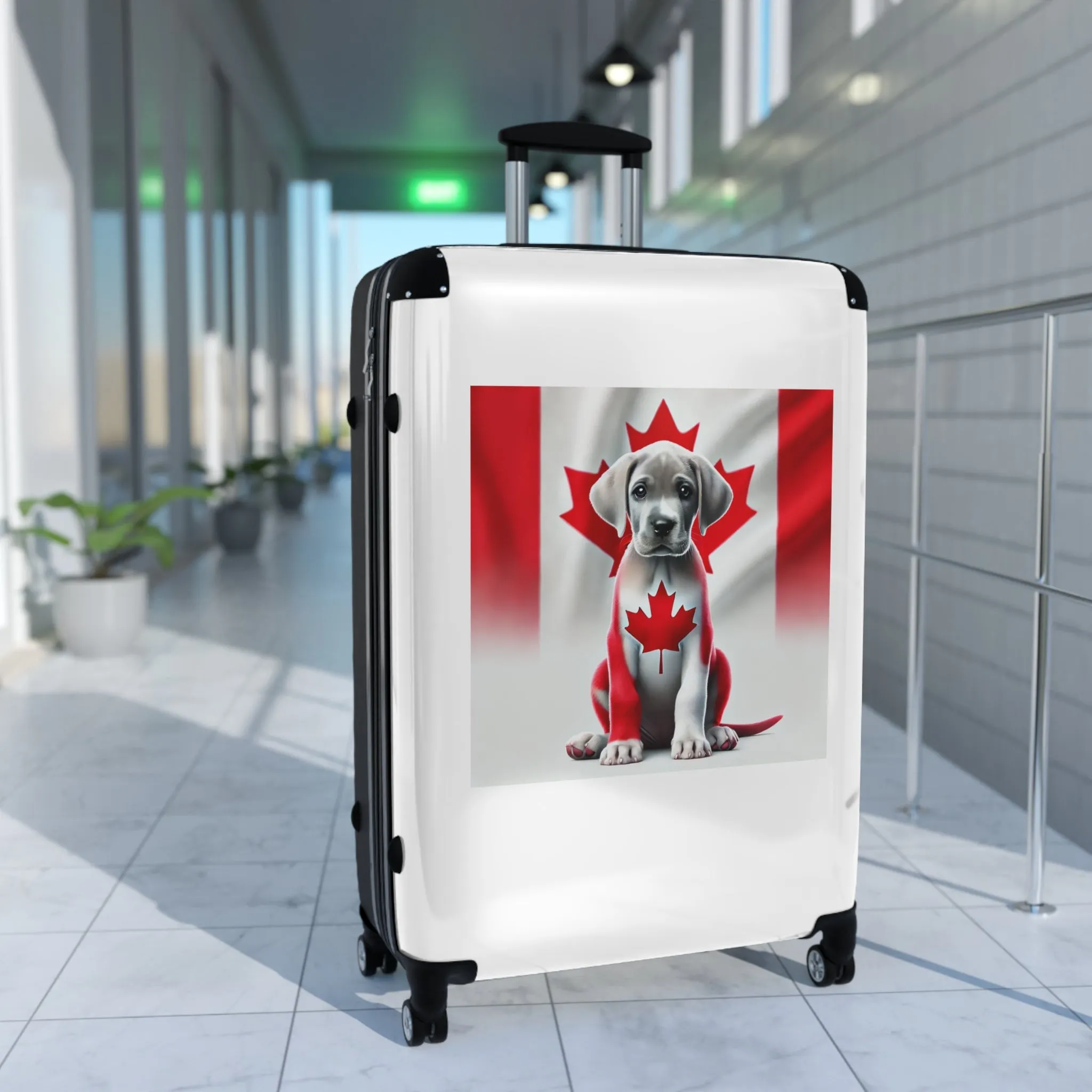 Suitcase